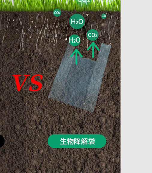 可生物降解環(huán)保塑料可以回收再利用嗎？(圖1)